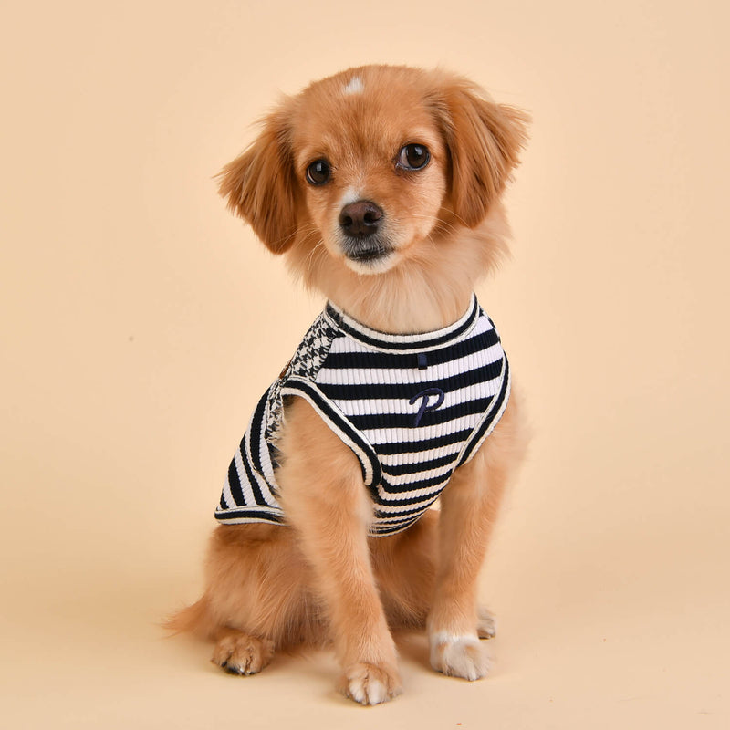 ropa marinera perro